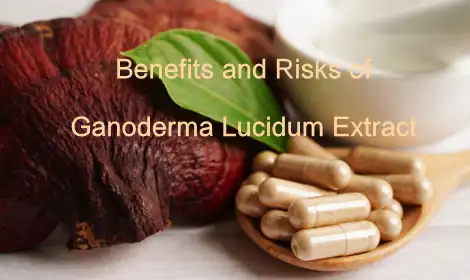 What are the Benefits and Risks of Ganoderma Lucidum Extract Powder?
